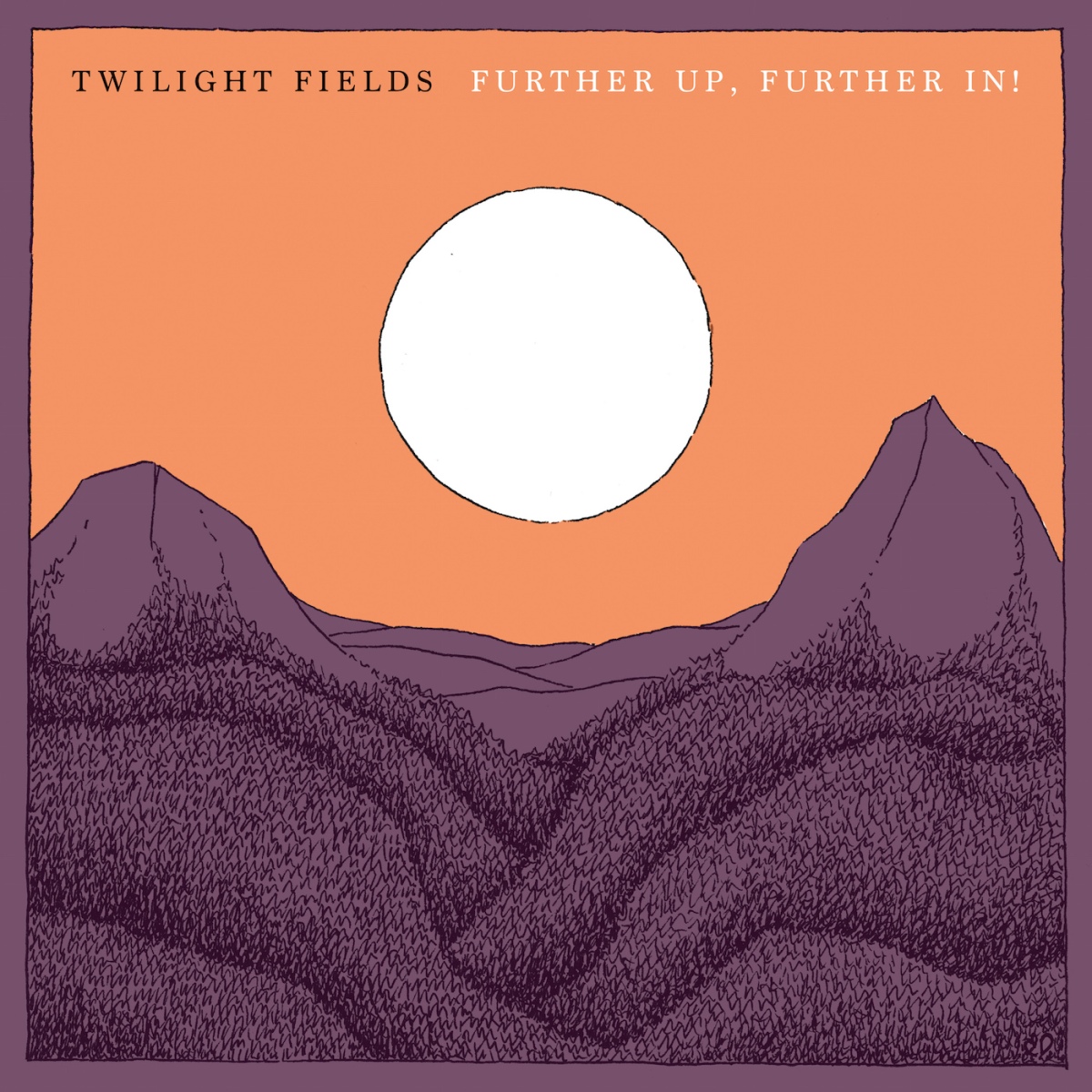 Twilight fields Micus. Fields at Nightfall. Album Covers in field. Zara fields at Nightfall. Further fields